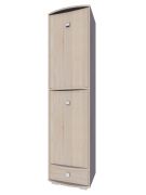 kolomKast Rabaul 25, kleur: Sonoma eiken - afmetingen: 200 x 50 x 43 cm (H x B x D)