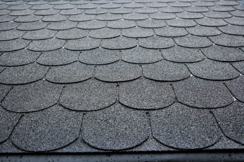 Dakshingles beverstaart - kleur: zwart 3 m²
