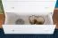 dressoir / ladekast massief grenen, wit Junco 144 - Afmetingen: 100 x 80 x 42 cm (H x B x D)