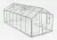 Kas - Radicchio L11 kas, wanden: 4 mm gehard glas, dak: 6 mm HKP meerwandig, grondoppervlakte: 11.00 m² - afmetingen: 500 x 220 cm (L x B)
