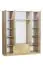 Draaideurkast / kleerkast Plata 11, kleur: Sonoma eiken - 201 x 160 x 53 cm (h x b x d)