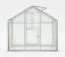 Kas Chicoree L11, HKP 6 mm, oppervlakte: 11.00 m² - afmetingen: 500 x 220 cm (L x B)