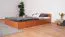 Eenpersoonsbed / logeerbed Corrientes 16 incl. lattenbodem, kleur: elzen - 90 x 200 cm (B x L)