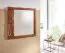 Wandspiegel met kapstok gemaakt van massief Sheesham hout, kleur: Sheesham - Afmetingen: 80 x 80 x 3 cm (H x B x D)