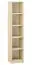 Jeugdkamer / tienerkamer - openkast Greeley 06, kleur: beuken - afmetingen: 199 x 42 x 40 cm (h x b x d), met 5 compartimenten