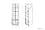 Kinderkamer - openkast / Highboard kast 06, kleur: platina grijs / wit / poederroze - afmetingen: 199 x 50 x 40 cm (H x B x D), met 2 laden en 4 vakken
