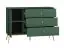 Ladekast /dressoir /sideboard kast Inari 04, kleur: bos groen - afmetingen: 85 x 120 x 40 cm (h x b x d), met 1 deur, 3 laden en 2 vakken