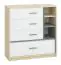 Jeugdkamer / tienerkamer - ladekast / dressoir Jurupa 06, kleur: beuken / wit / platina grijs - afmetingen: 100 x 95 x 41 cm (H x B x D), met 4 laden en 3 vakken