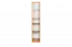 Jeugdkamer / tienerkamer - open kast Alard 11, kleur: eiken / wit - Afmetingen: 171 x 35 x 36 cm (H x B x D)
