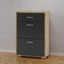Schoenenkast Stepino / Kleur: Artisan eiken / antraciet mat / 2 vakken met klipbevestiging / 1 lade / ingang / garderobe / 60 x 30 x 88,5 cm / Hal